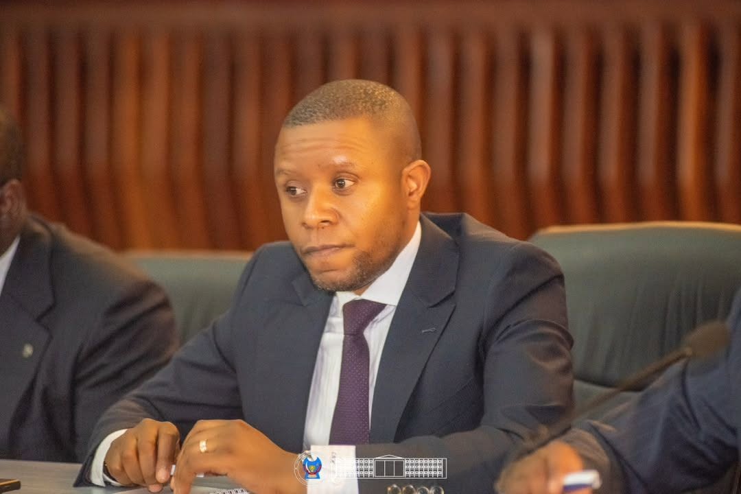 *ADF : Carly Nzanzu Kasivita propose la création de forces locales de défense*