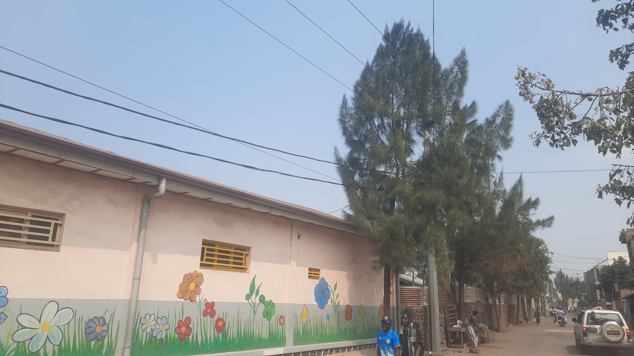 DANGER : À Goma au quartier Murara, des arbres en contact avec les lignes électriques à moyenne tension de SOCCODE font craindre un drame