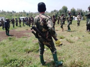 SÉCURITÉ : En République démocratique du Congo les FDLR signent un protocole de désarmement