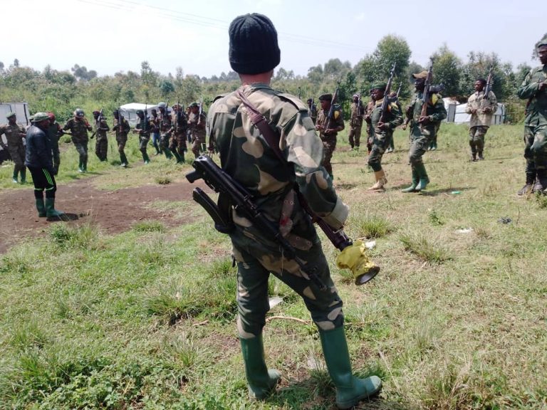 SÉCURITÉ : En République démocratique du Congo les FDLR signent un protocole de désarmement