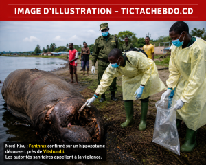 Nord-Kivu : l’anthrax confirmé sur un hippopotame près de Vitshumbi, alerte après le prélèvement de parties de la carcasse