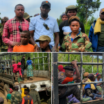 Nord-Kivu : plus de 22 Wazalendo du PARECO de Mutayomba se rendent à l’AFC/M23 à Masisi