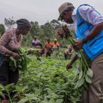 Damien Mama clôt trois jours à Goma et Bukavu et prend la route d’Uvira