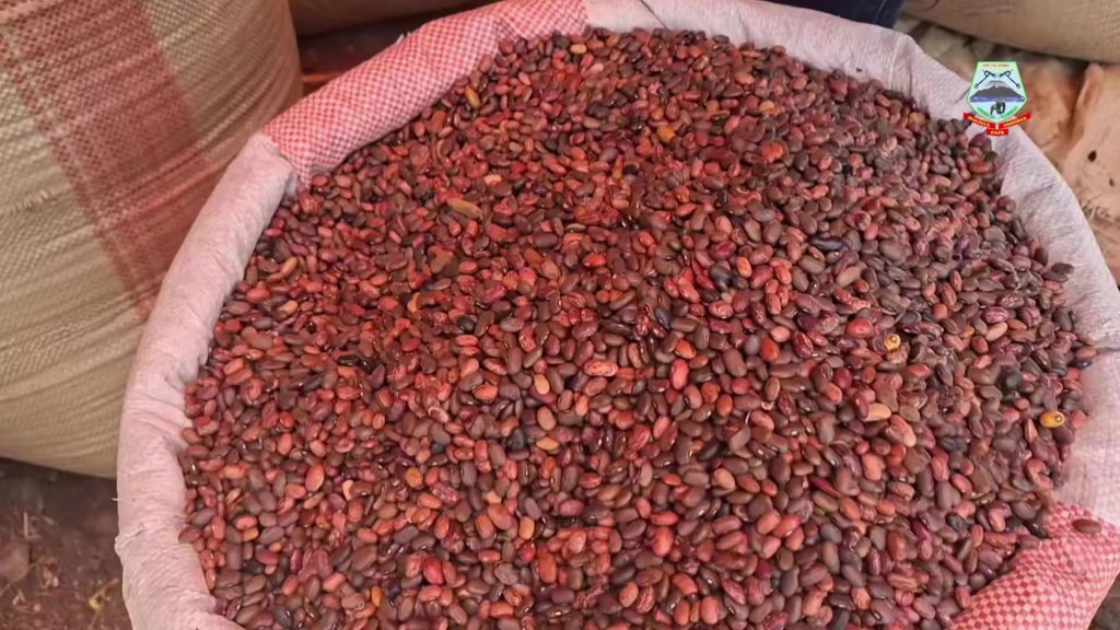 Kahembe : à Goma, le maire écoute les prix, les billets usés et les marchés pirates