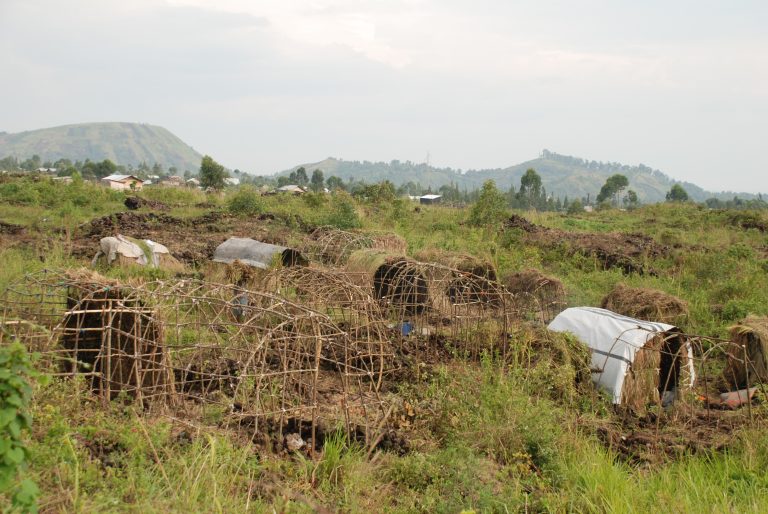 Nord-Kivu : combats à Masisi et Walikale, l’axe Nyabiondo–Kashebere encore cité comme bloqué