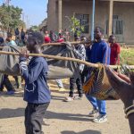 Nord kivu : Douze ans après les massacres des civils par les ADF à beni, les massacres sont loin d'être stopper