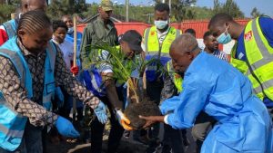 Goma verte, campagne réussie du maire de Goma Désiré Ngabo Kisuba