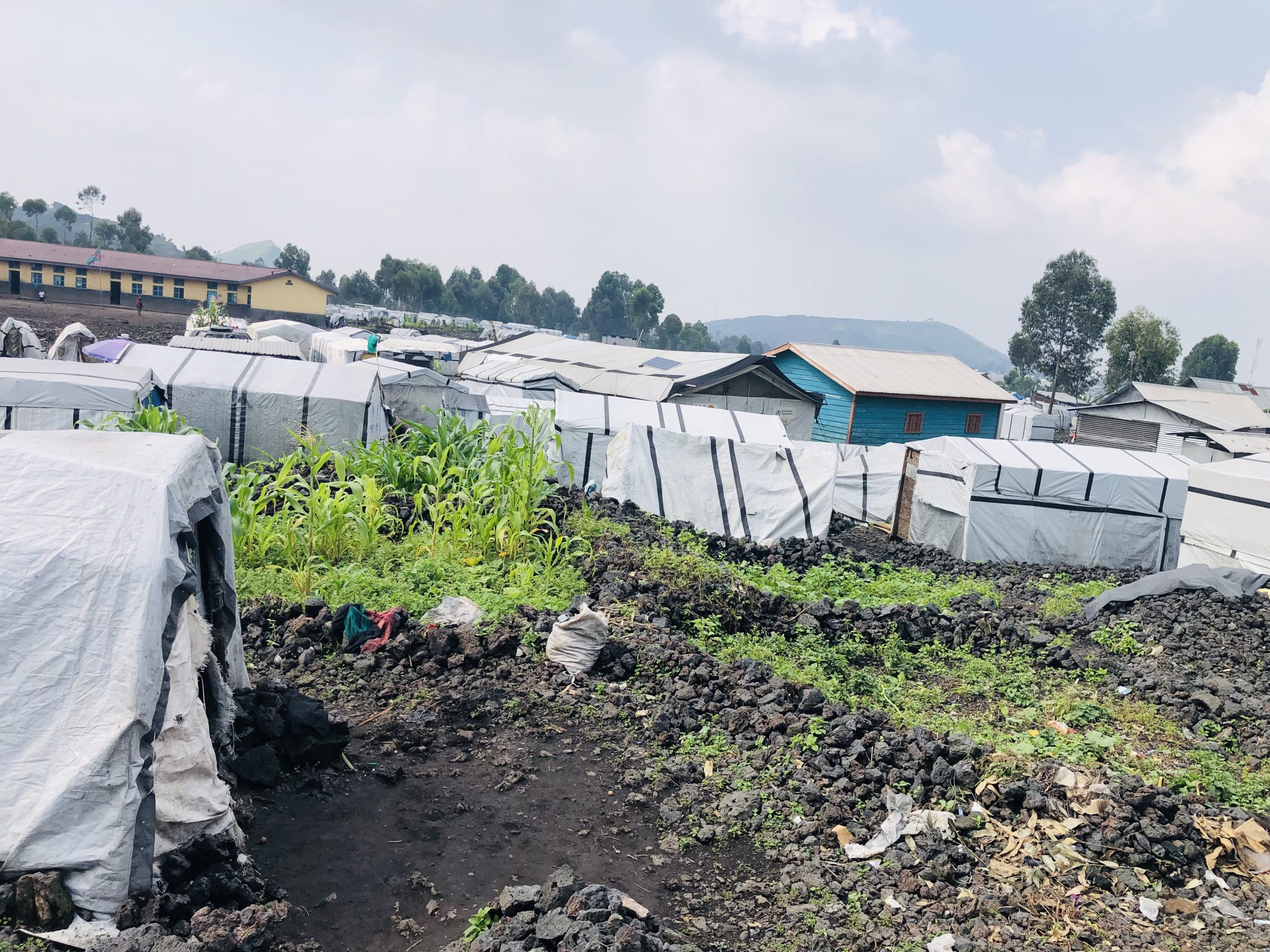 Ancien camp de déplacés de Kanyaruchinya, près de Goma