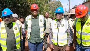 Kalehe : l’AFC/M23 inaugure un transformateur électrique