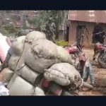 Lubero : plus de 35 sacs de chanvre saisis, selon une vidéo diffusée sur les réseaux