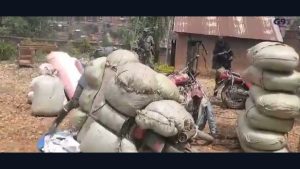 Image extraite d’une vidéo du média G90 : motos chargées de sacs lors d’une opération de saisie annoncée à Lubero.
