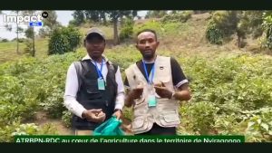 Territoire de Nyiragongo — descente de l’ATRBPN-RDC sur un champ de pommes de terre (3 octobre 2026). Image extraite d’une vidéo Impact TV RDC.