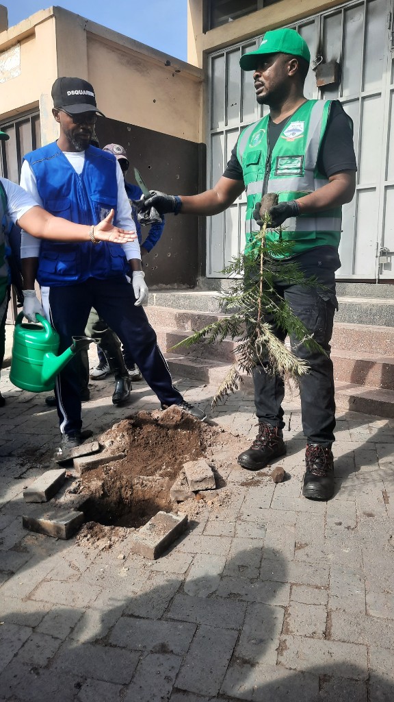 Plantation d’arbre pendant le salongo à Goma